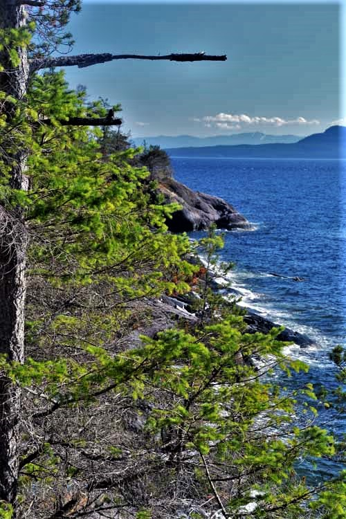 shoreline